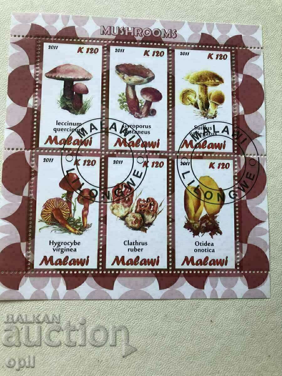 Stamped Block Mushrooms 2011 Μαλάουι