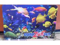 Pocket calendar fish fish aquarium 2020