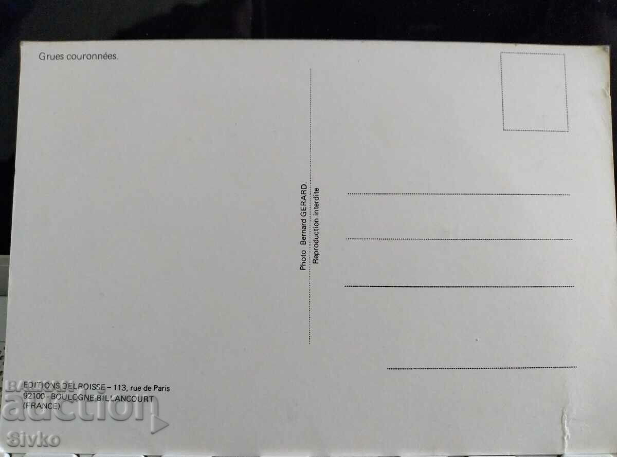 Card 49 with price 0.49 BGN | € 0.25 Card 49 with price 0.49 BGN | € 0.25