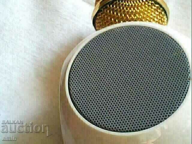 Licitație microfon perfect