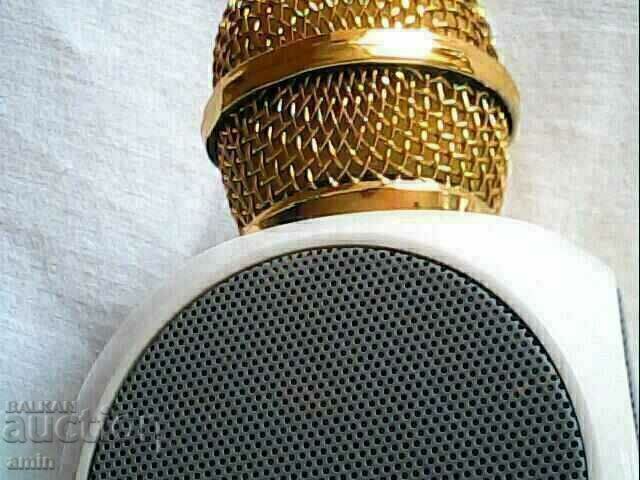 Livrarea microfon perfect