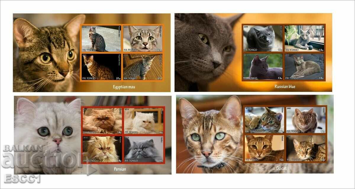 10 Clear blocks Cats 2010 by Tongo with price 50.00 BGN | € 25.56 10 Clear blocks Cats 2010 by Tongo with price 50.00 BGN | € 25.56