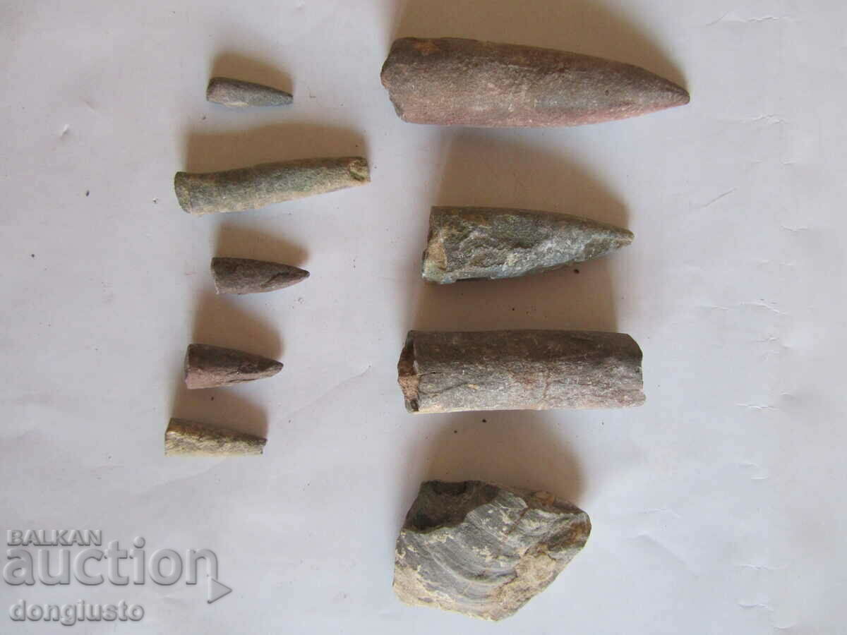 Fossils with price 5.00 BGN | € 2.56 Fossils with price 5.00 BGN | € 2.56