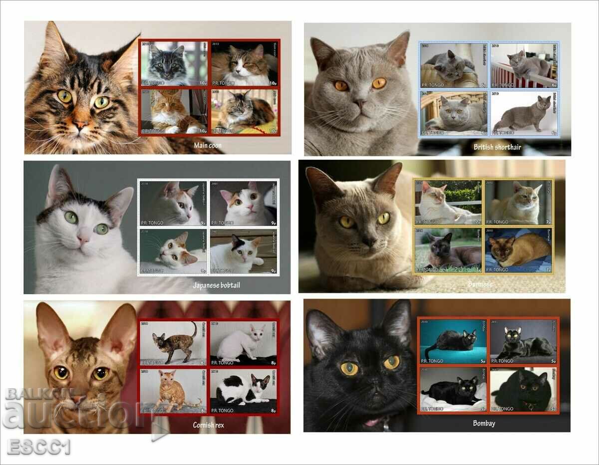 11 Clear block Cats 2010 by Tongo with price 55.00 BGN | € 28.12 11 Clear block Cats 2010 by Tongo with price 55.00 BGN | € 28.12