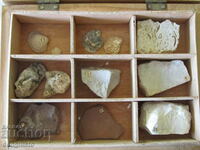 Learning aid, "Collection of Limestone"