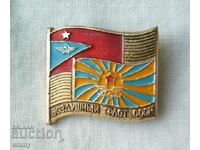 Badge - USSR Air Fleet