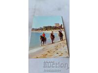 Postcard Golden Sands 1987