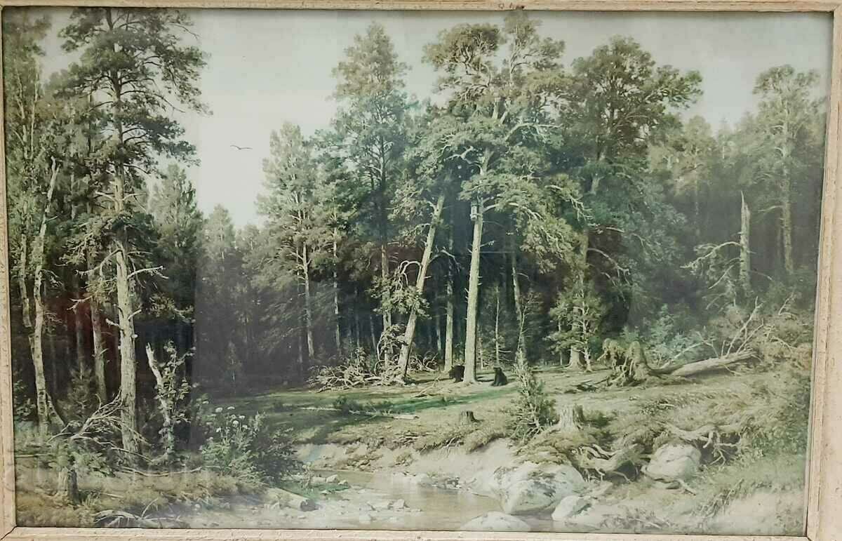 Pictură veche - imprimeu, înrămat sub sticlă(3.4) - 7