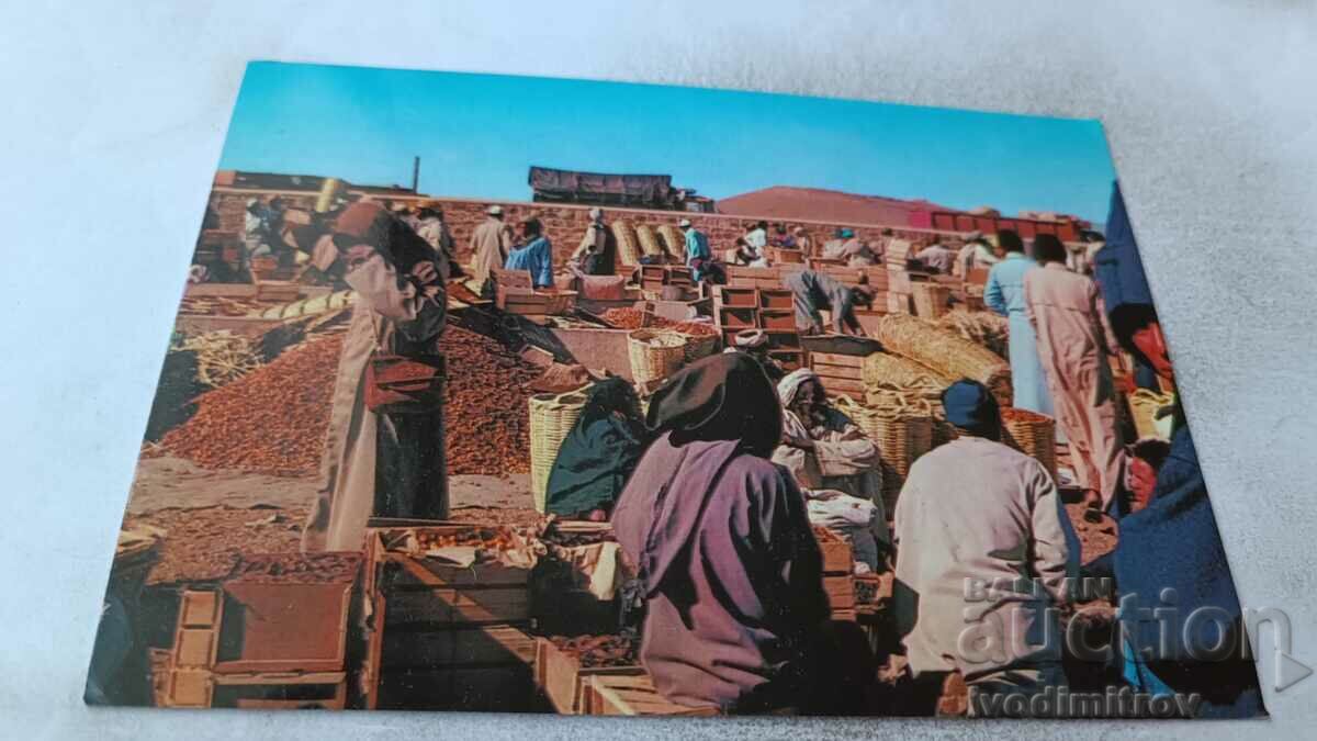 Carte poștală Tipic Maroc