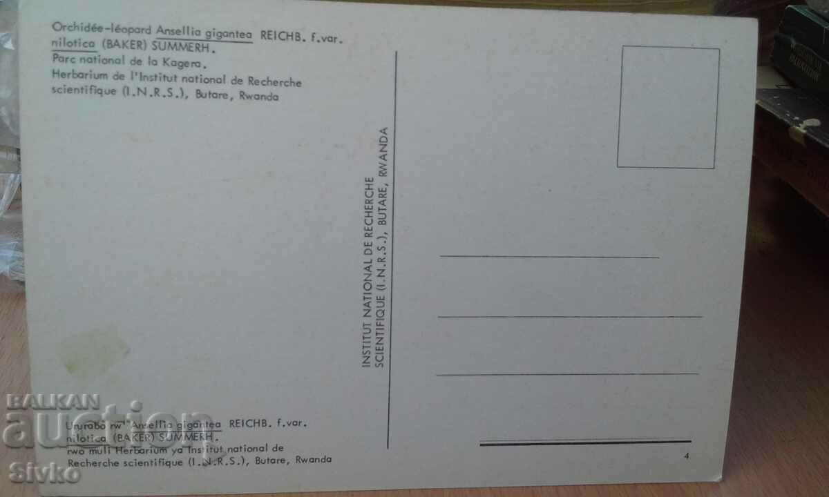 card RWANDA 6 cu preț 0.49 BGN | € 0.25