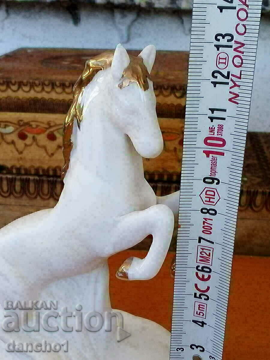 Αλογο - 5 Αλογο - 5