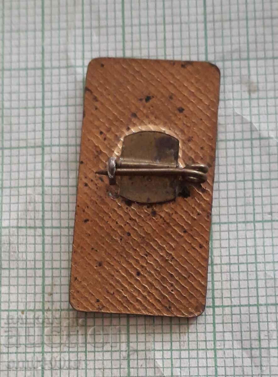 Delivery of Badge - Second Congress of Bulgarian Culture 1972 Delivery of Badge - Second Congress of Bulgarian Culture 1972