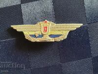 Badge - Class specialist - 1st class - BNA