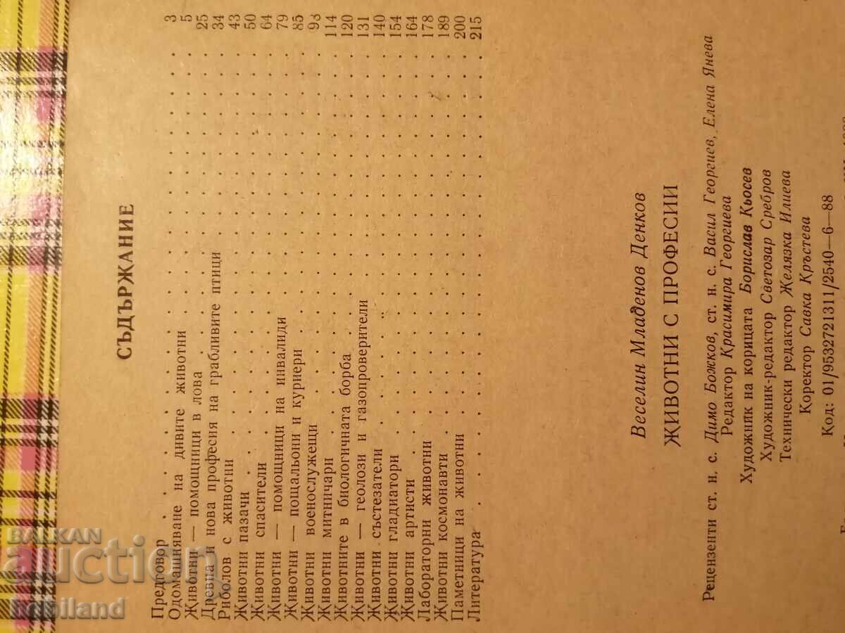 Auction Animals with professions Auction Animals with professions