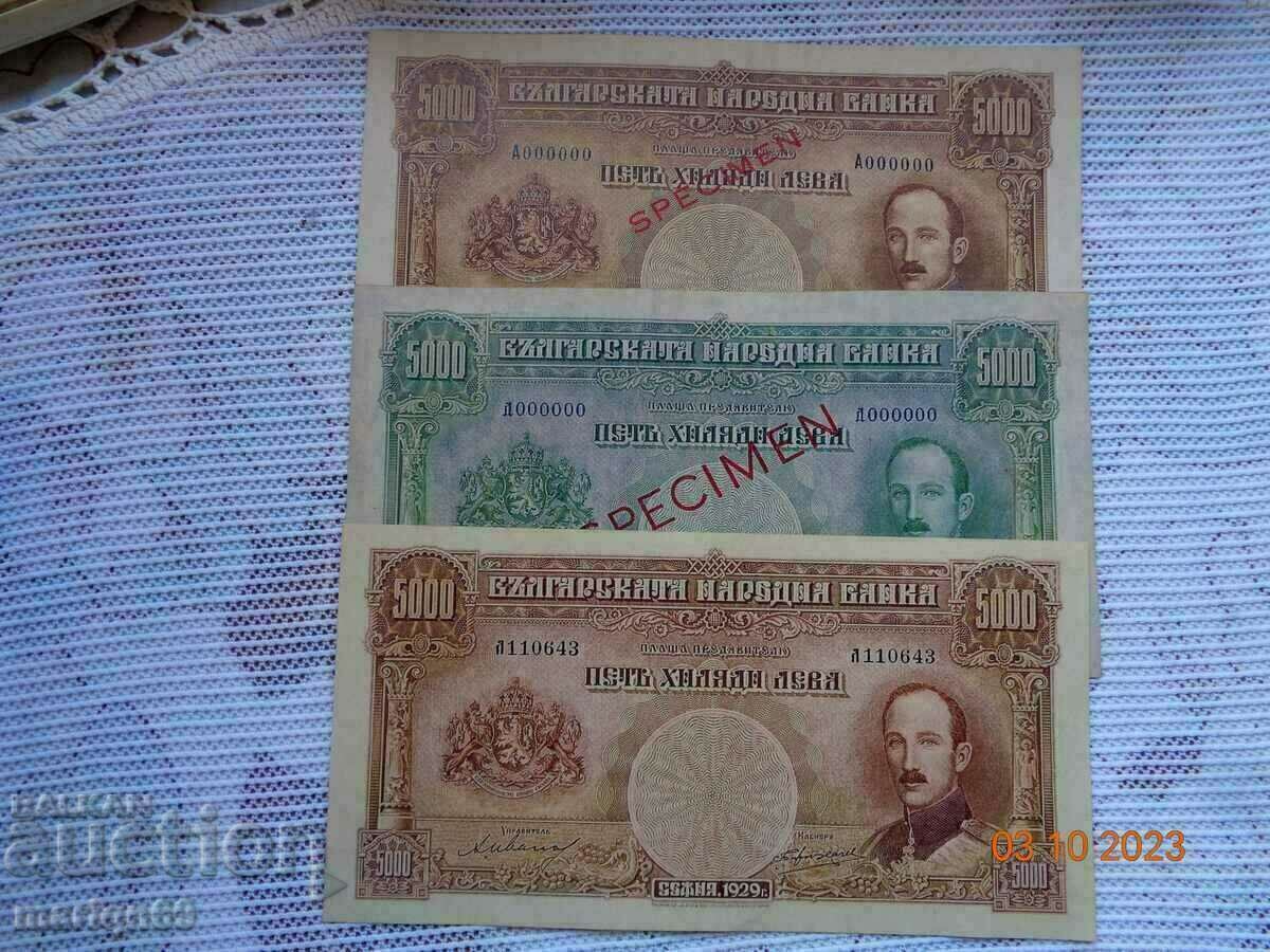 Licitație SPESIMEN RARE Bancnote de 5.000 BGN. /copiile sunt/