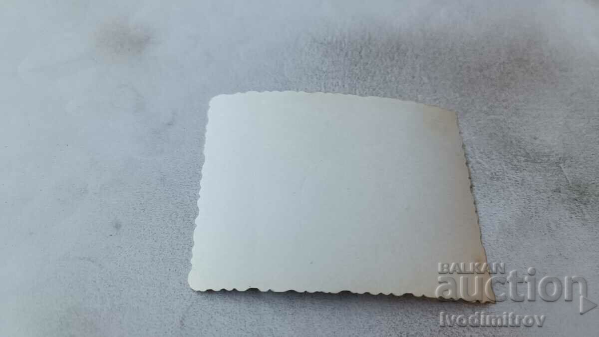 Photo Three boys in swimsuits on the stairs with price 2.45 BGN | € 1.25 Photo Three boys in swimsuits on the stairs with price 2.45 BGN | € 1.25