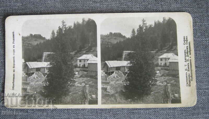 Processing pine Rhodopi old stereo card stereo card