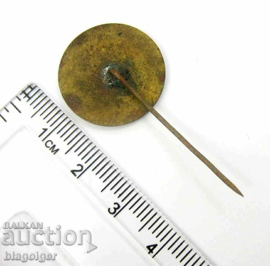 XV WORLD CONGRESS ON PHILOSOPHY-VARNA-1973-BRONZE-ENAMEL with price 6.49 BGN | € 3.32