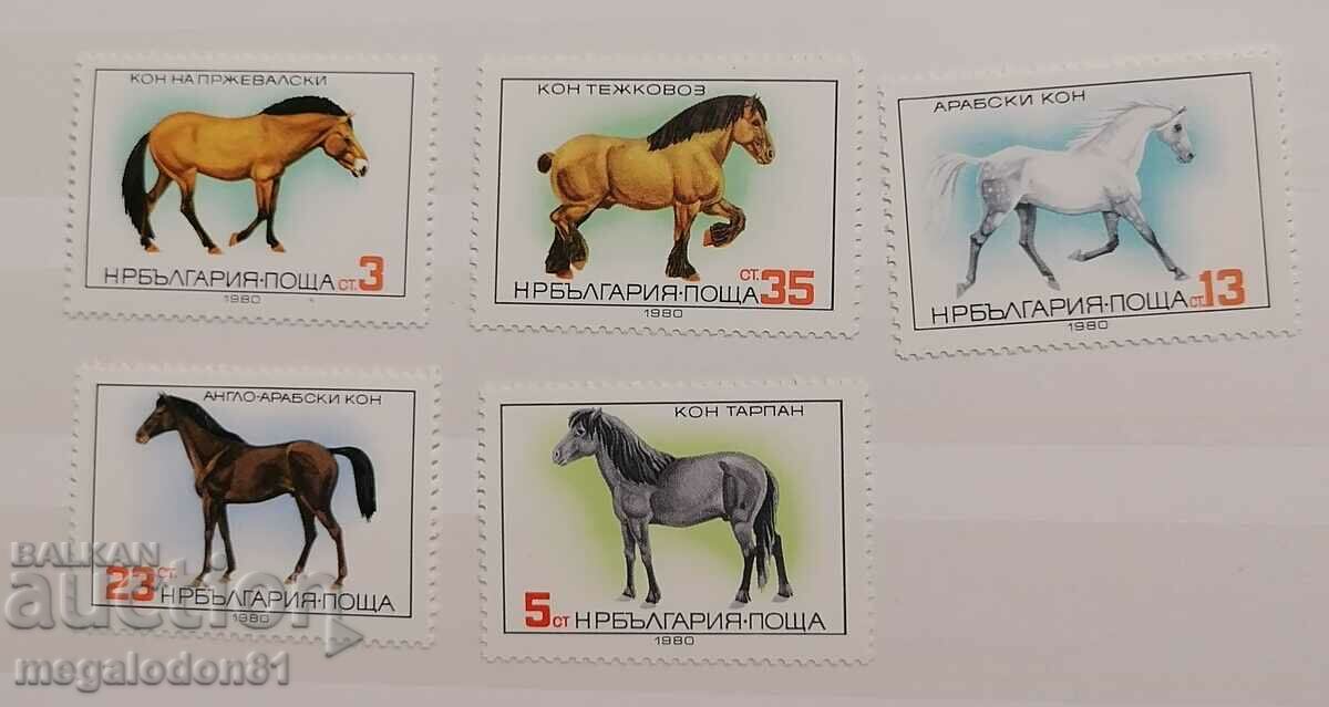 Bulgaria - horses