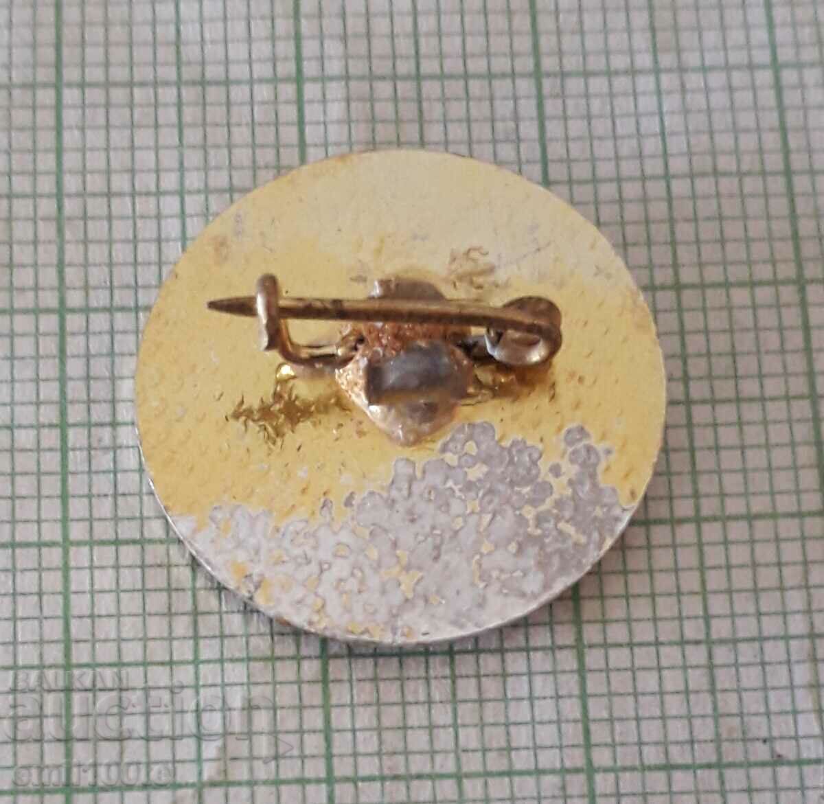 Delivery of Badge - Junior Football Balkaniad Sofia 1979 Delivery of Badge - Junior Football Balkaniad Sofia 1979