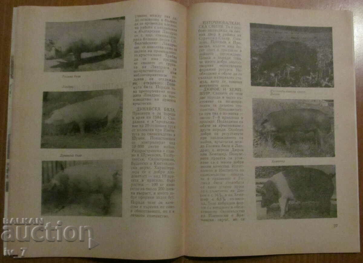 MAGAZINE "PERSONAL AND HELPFUL FARMING" - ISSUE 9, 1986 - 5 MAGAZINE "PERSONAL AND HELPFUL FARMING" - ISSUE 9, 1986 - 5
