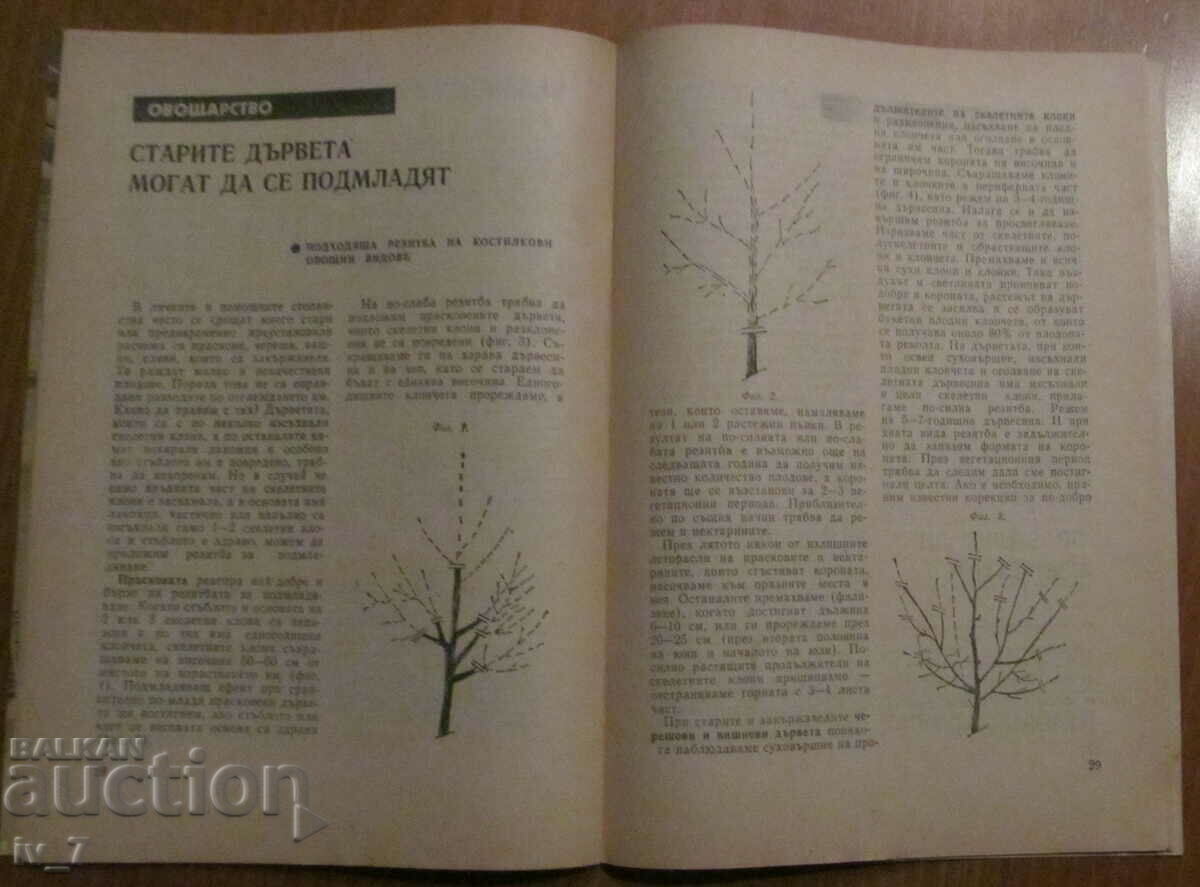 Delivery of MAGAZINE "PERSONAL AND HELPFUL ECONOMY" - ISSUE 11, 1986