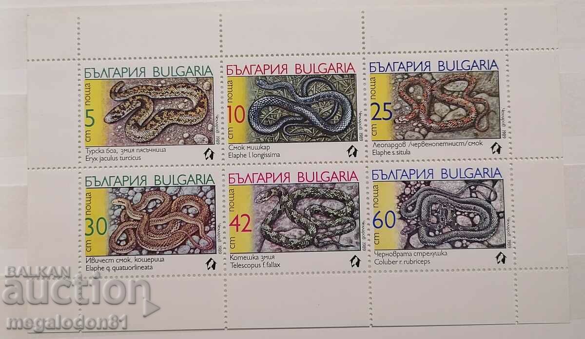 Bulgaria - șerpi