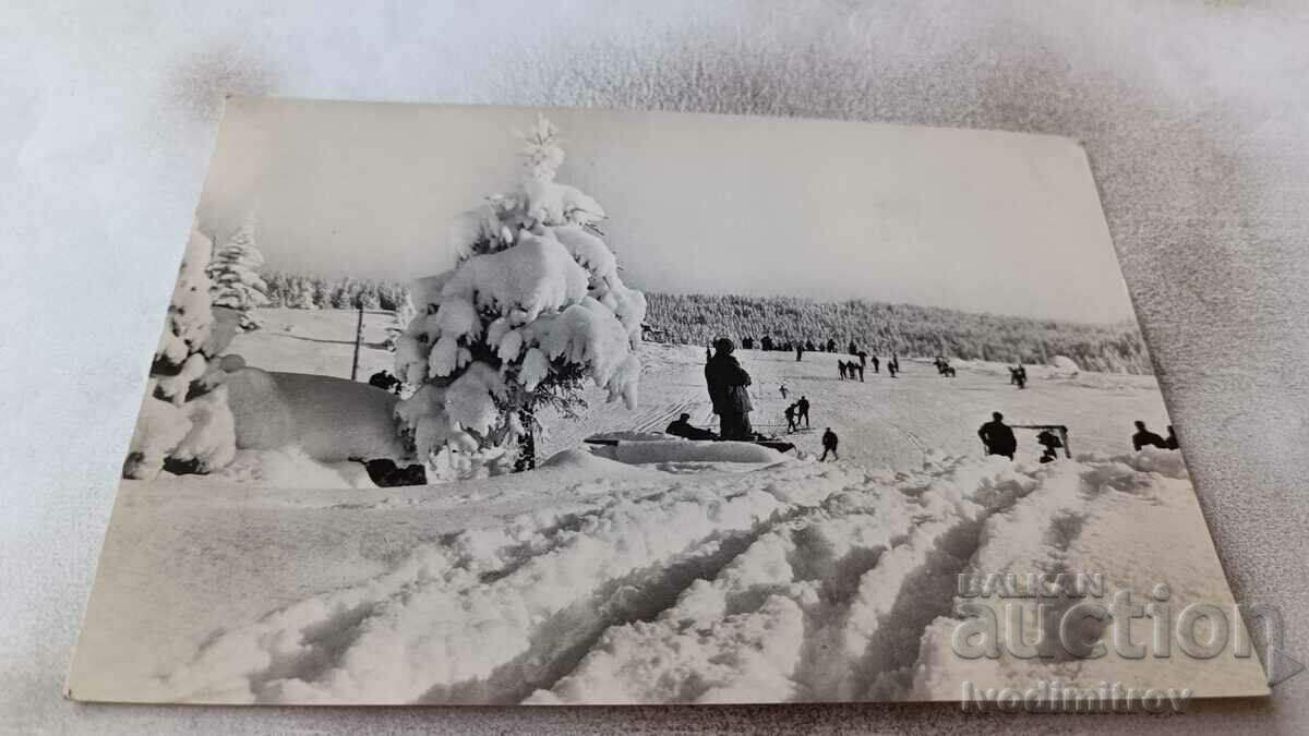 Carte poștală Peisaj de iarnă 1965