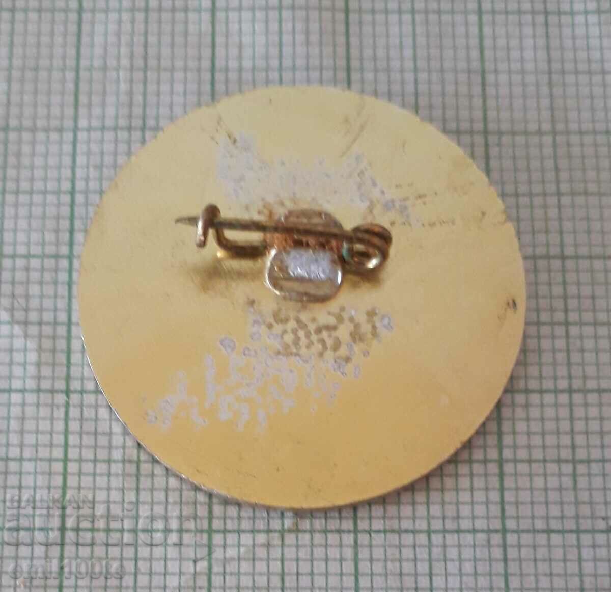 Delivery of Badge - Alen mak Blagoevgrad Political Song Festival