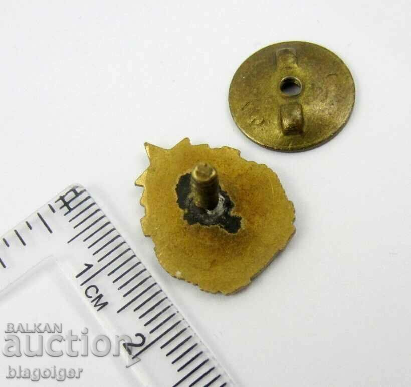 Auction  NSST National Union of Sports and Technology-Rare Badge-Enamel-Screw