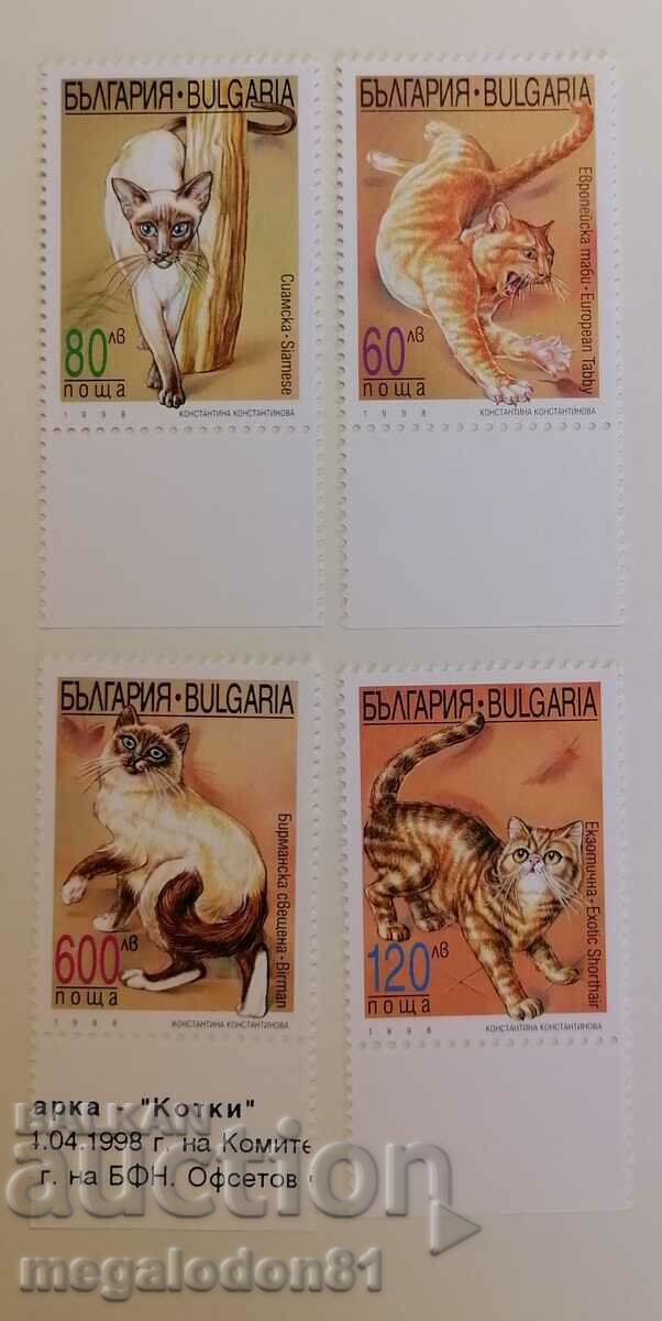 Bulgaria - cats, 1998