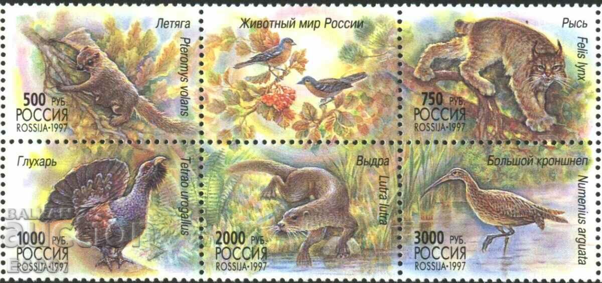 Pure stamps Fauna 1997 from Russia