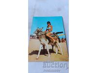 Postcard Golden Sands 1967