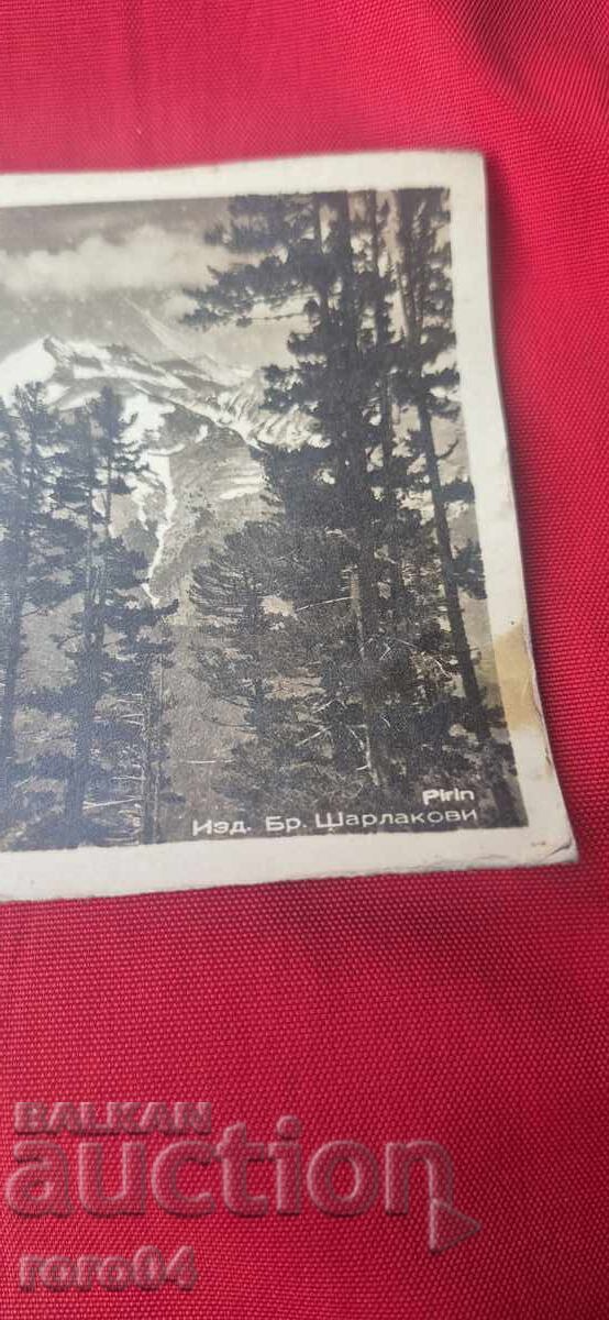 Auction BAYONE - MAUSER - BOLO - SPAIN Auction BAYONE - MAUSER - BOLO - SPAIN