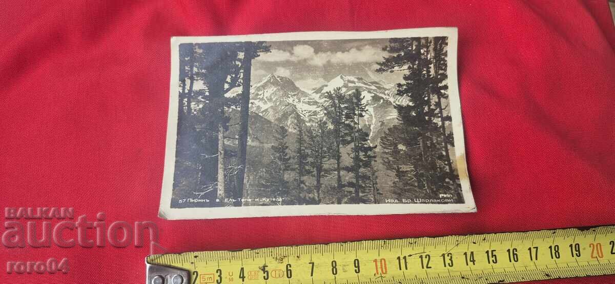 Delivery of BAYONE - MAUSER - BOLO - SPAIN Delivery of BAYONE - MAUSER - BOLO - SPAIN