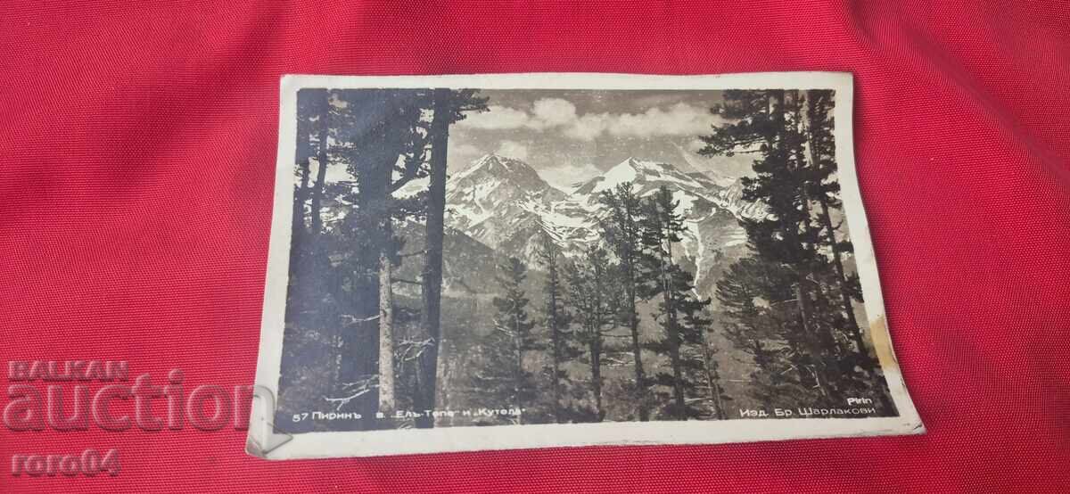 BAYONE - MAUSER - BOLO - SPAIN BAYONE - MAUSER - BOLO - SPAIN