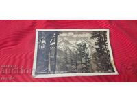 BAYONE - MAUSER - BOLO - SPAIN