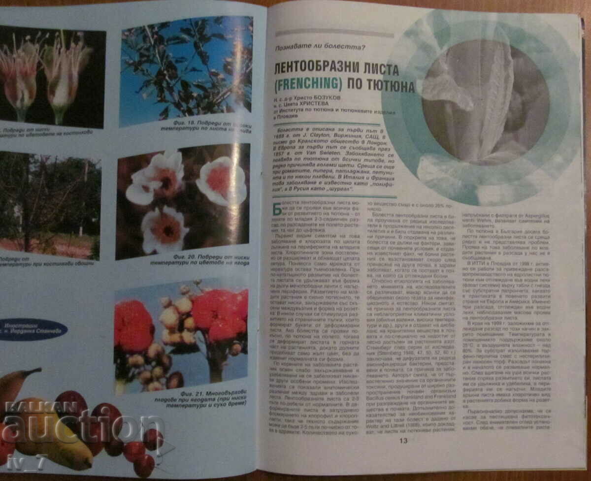 Auction "PLANT PROTECTION" MAGAZINE - ISSUE 6, 2000 Auction "PLANT PROTECTION" MAGAZINE - ISSUE 6, 2000