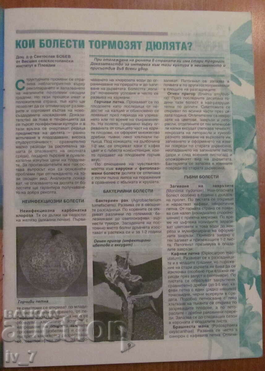 "PLANT PROTECTION" MAGAZINE - ISSUE 3, 2000 - 5 "PLANT PROTECTION" MAGAZINE - ISSUE 3, 2000 - 5