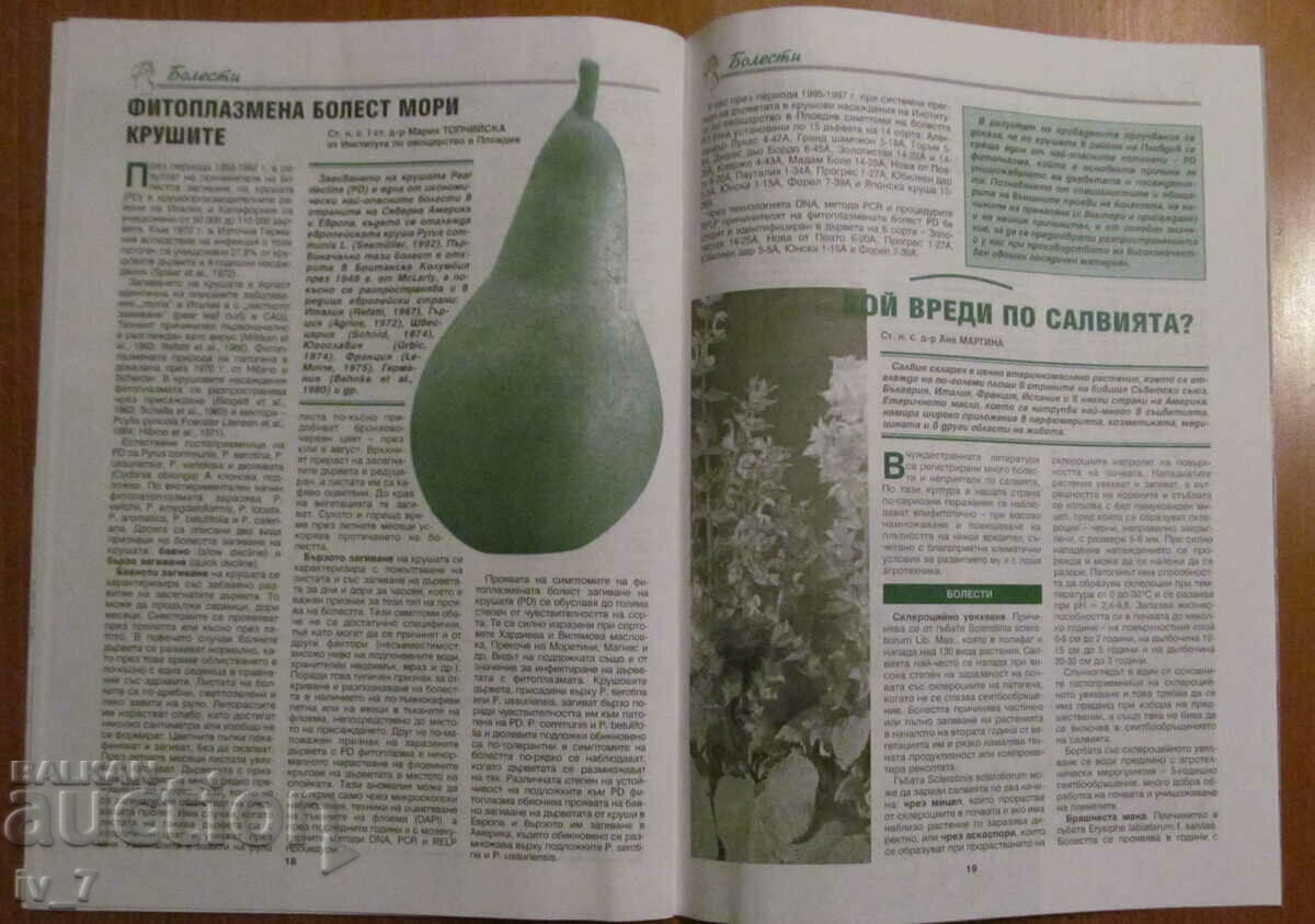 "PLANT PROTECTION" MAGAZINE - ISSUE 8, 2000 - 6