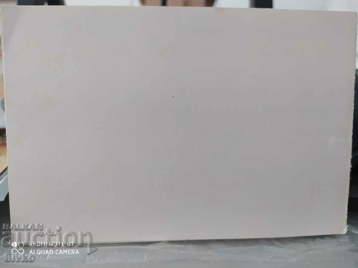 Auction Card children 4 Auction Card children 4