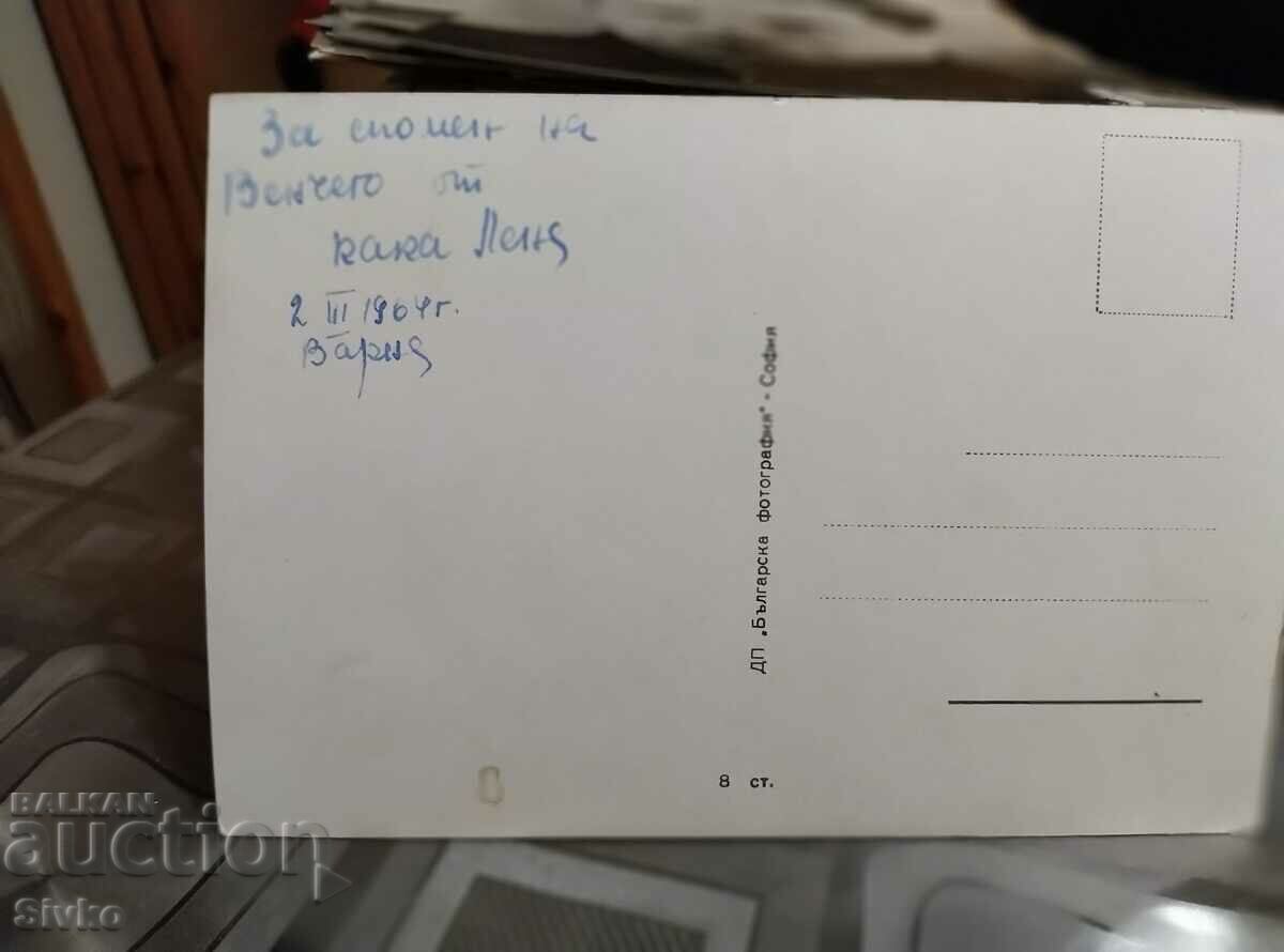 Card Gina Lollobrigida actress with price 0.49 BGN | € 0.25 Card Gina Lollobrigida actress with price 0.49 BGN | € 0.25