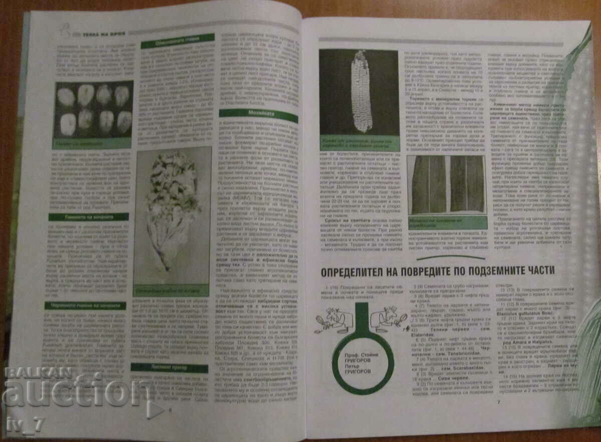 Delivery of "PLANT PROTECTION" MAGAZINE - ISSUE 1, 2001 Delivery of "PLANT PROTECTION" MAGAZINE - ISSUE 1, 2001