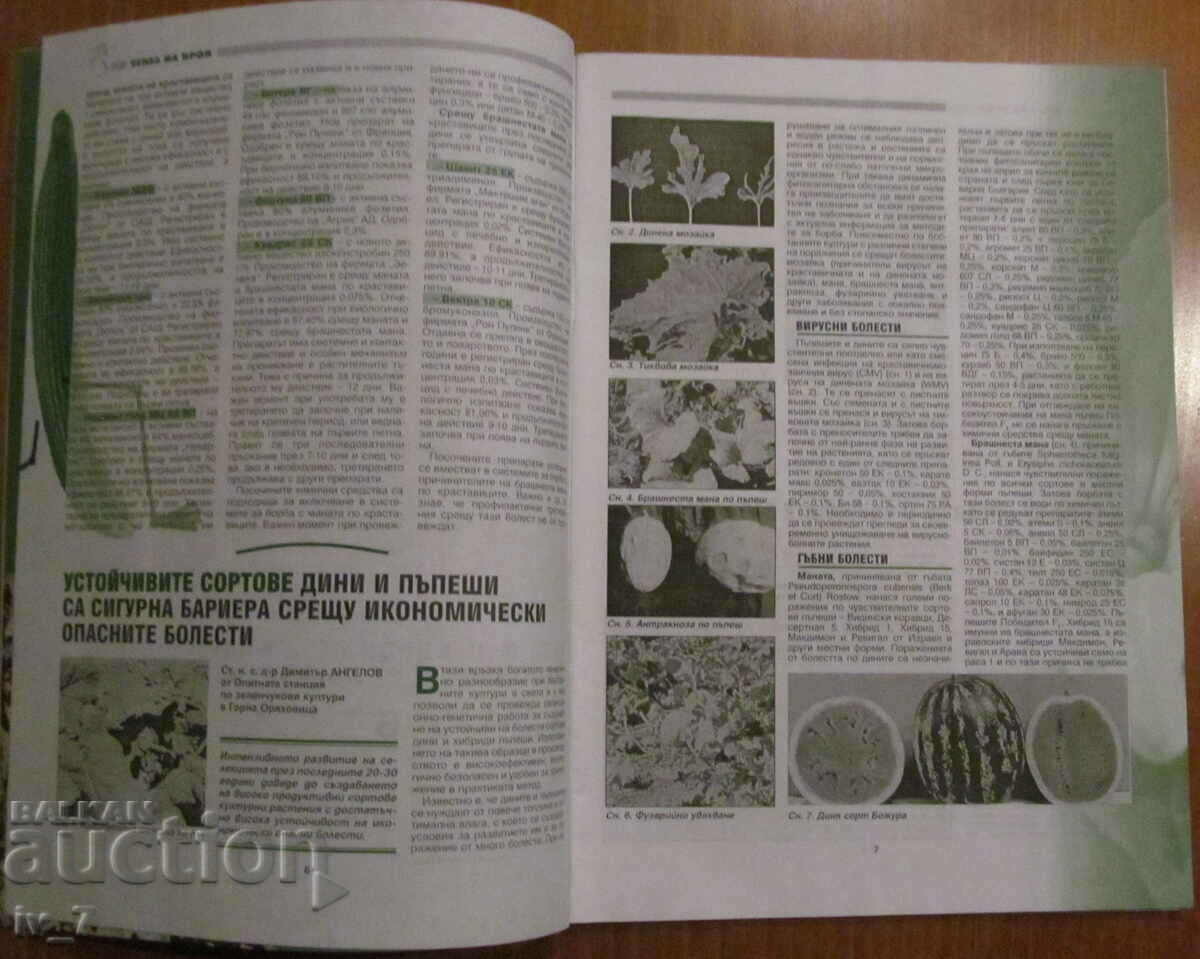 Auction PLANT PROTECTION MAGAZINE - ISSUE 4, 2001 Auction PLANT PROTECTION MAGAZINE - ISSUE 4, 2001