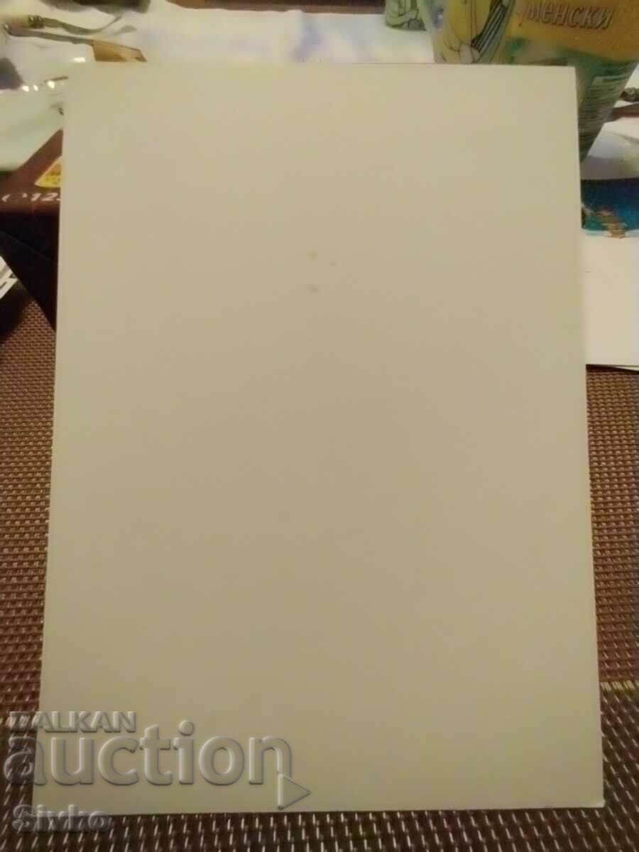 Art card 14 with price 0.49 BGN | € 0.25