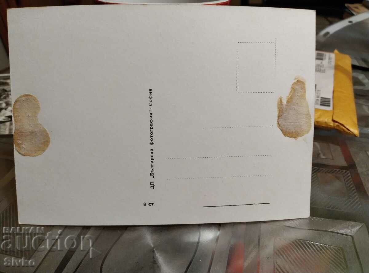 Card Ina Skobtseva with price 0.49 BGN | € 0.25 Card Ina Skobtseva with price 0.49 BGN | € 0.25