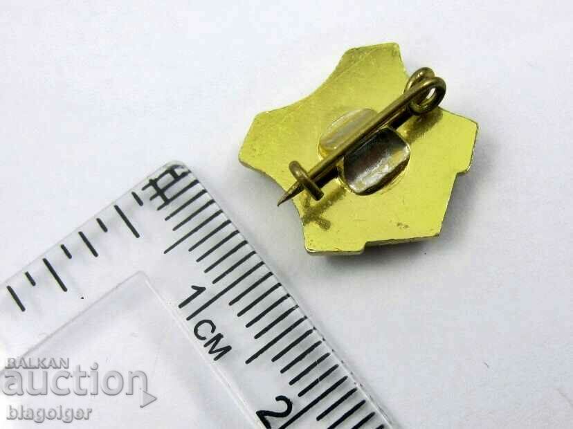 VIDA PLANT-CITY OF VIDIN--ANNIVERSARY BADGE with price 2.49 BGN | € 1.27