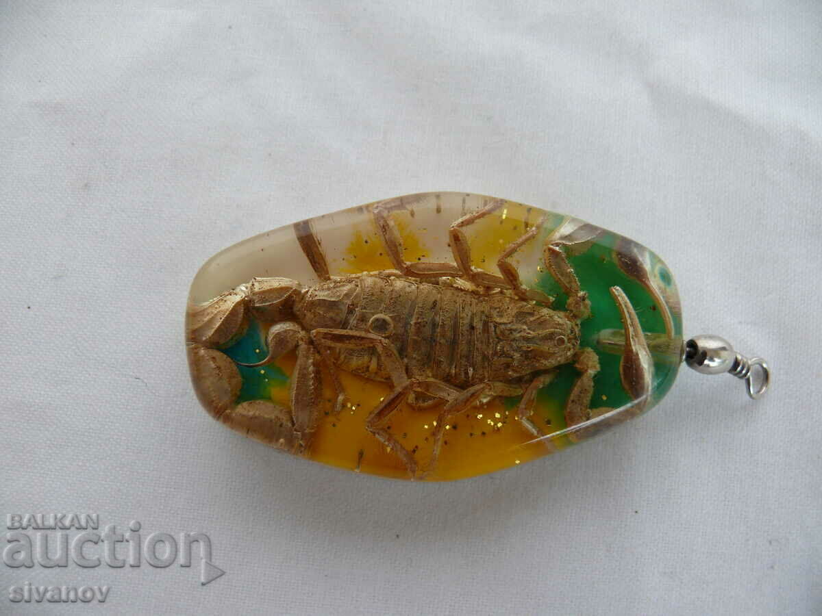 Interesting Scorpion Locket Pendant #1851 with price 9.99 BGN | € 5.11 Interesting Scorpion Locket Pendant #1851 with price 9.99 BGN | € 5.11