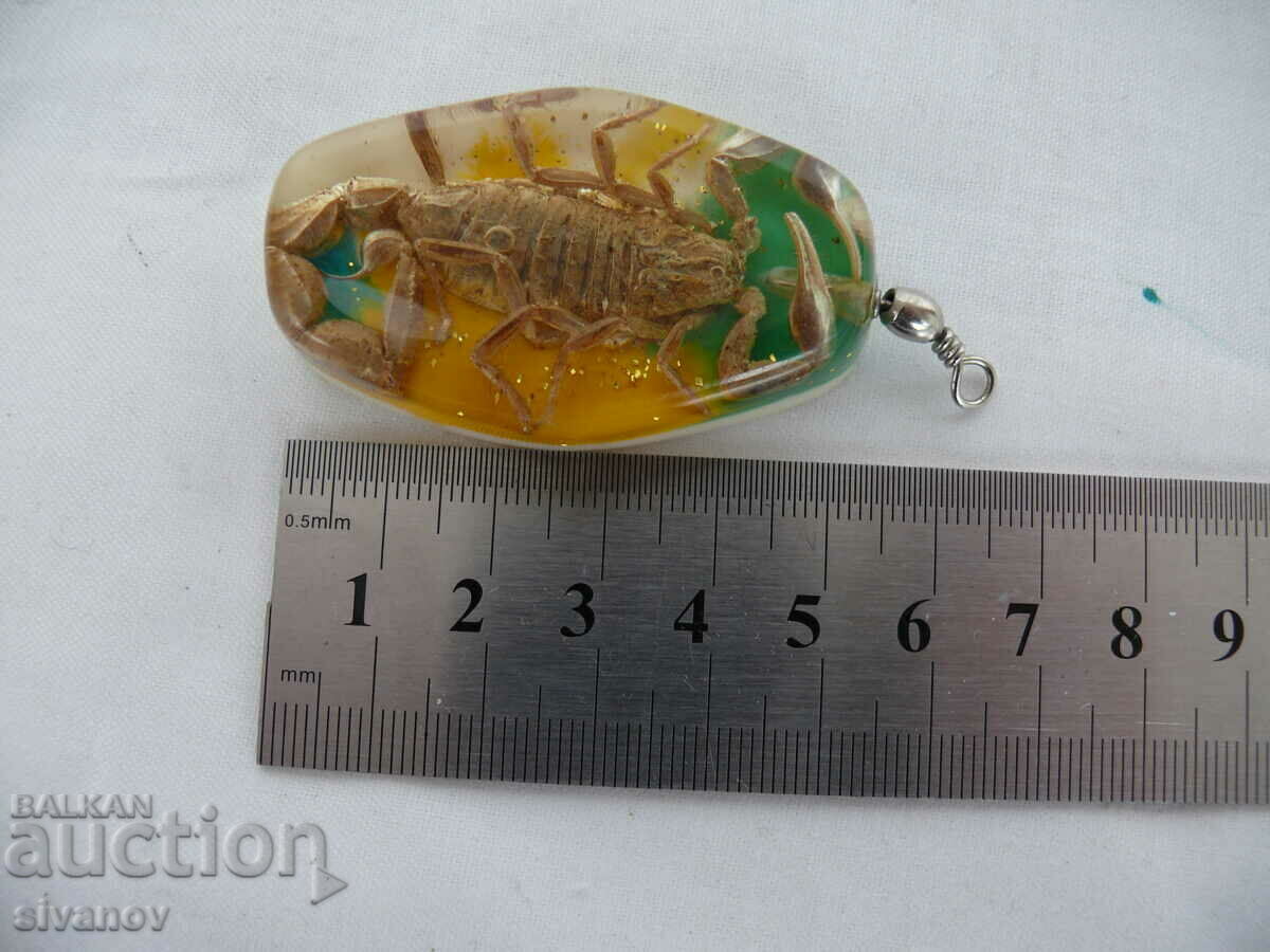 Interesting Scorpion Locket Pendant #1851 - 6 Interesting Scorpion Locket Pendant #1851 - 6