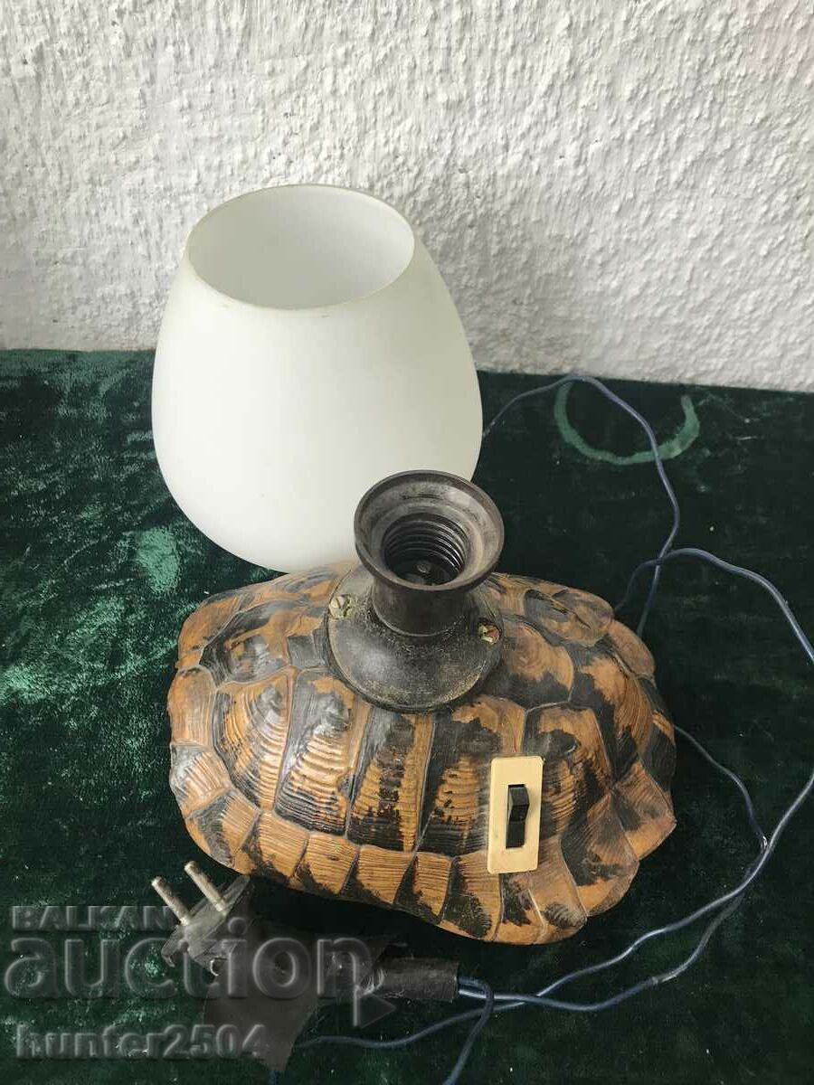 Lamp Tortoise